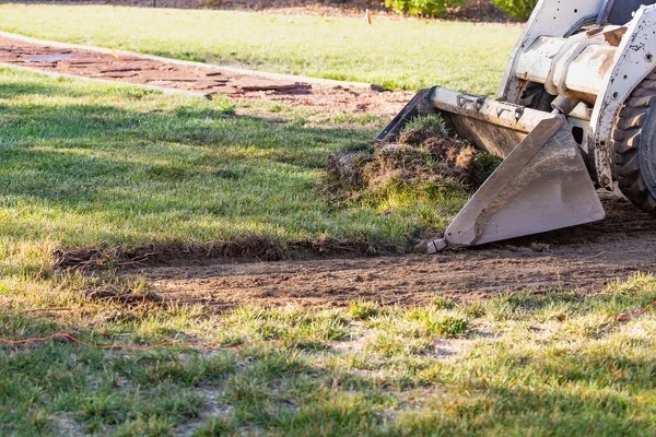 Benefits of Hiring a Tree Service for Efficient Land Clearing in Glen Head, NY Benefits of Hiring a Tree Service for Efficient Land Clearing in Glen Head, NY