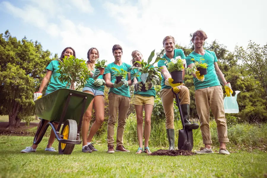 How to Avoid Common Tree Planting Mistakes in Your Yard in Glen Head, NY How to Avoid Common Tree Planting Mistakes in Your Yard in Glen Head, NY