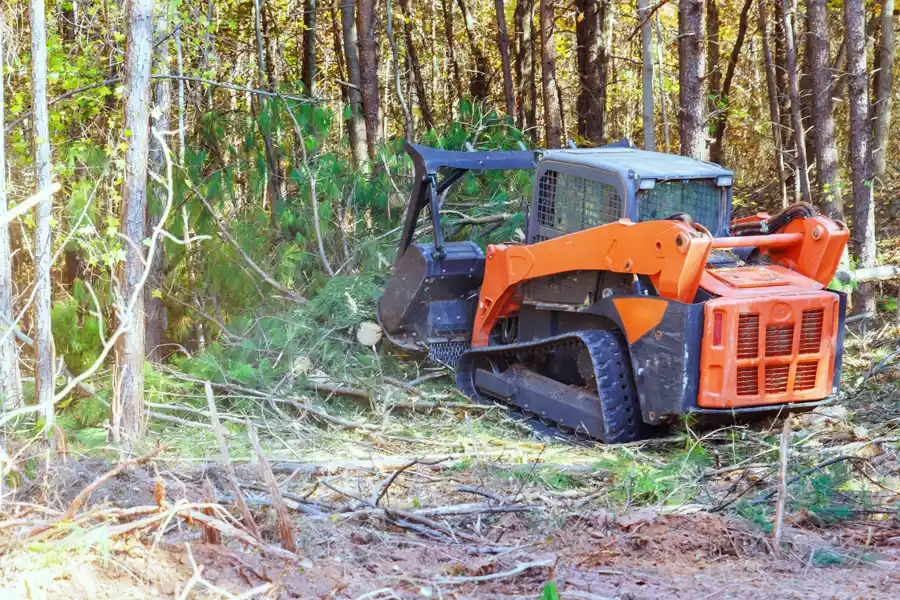 Reliable Land Clearing in Glen Head, NY Reliable Land Clearing in Glen Head, NY