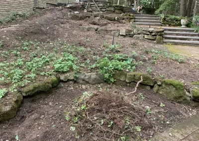 Professional Landscaping