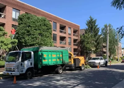 Professional Tree Service