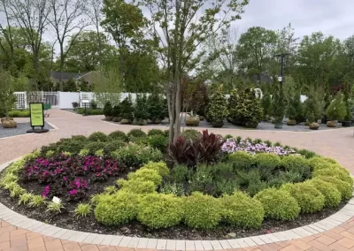 Quality Tree Service