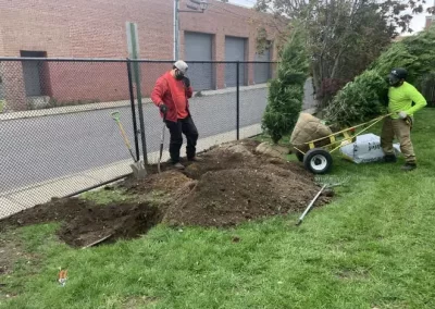 Reliable Landscaping Services