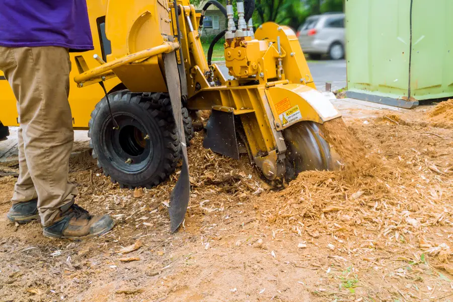 The Environmental Impact of Stump Grinding in Urban Areas in Glen Head, NY